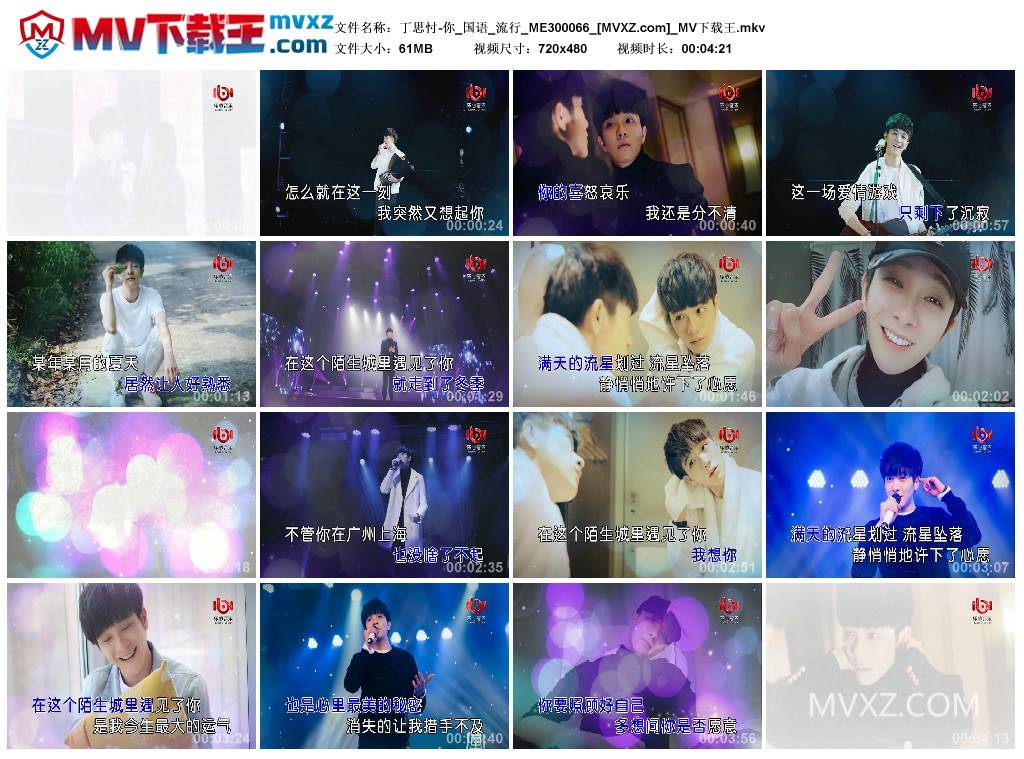 丁思忖-你_国语_流行_ME300066